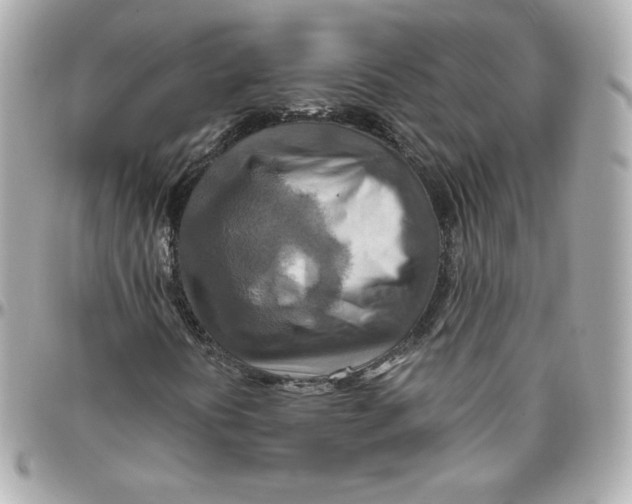 X0000095881394200802011033