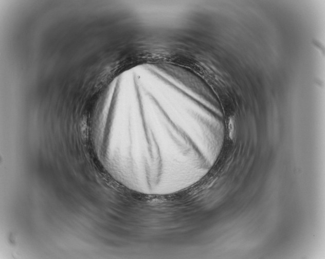 X0000095881395200802011033