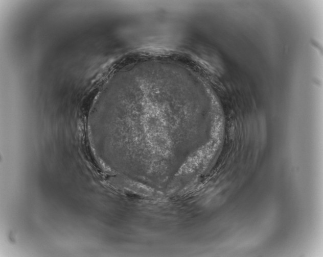 X0000095881397200802011033