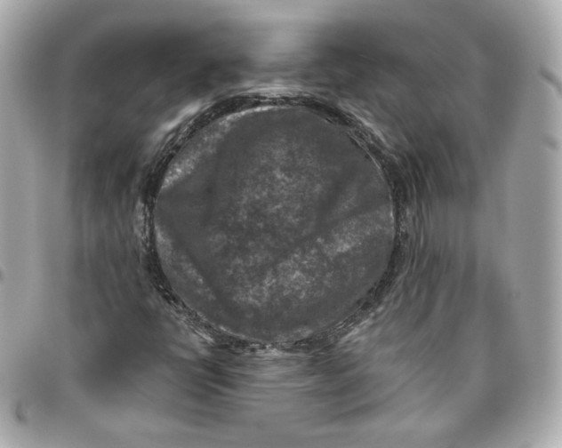 X0000095881398200802011033