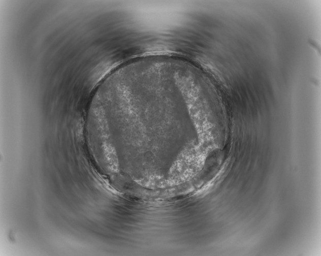 X0000095881401200802011033