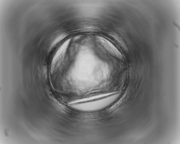 X0000095881402200802011033