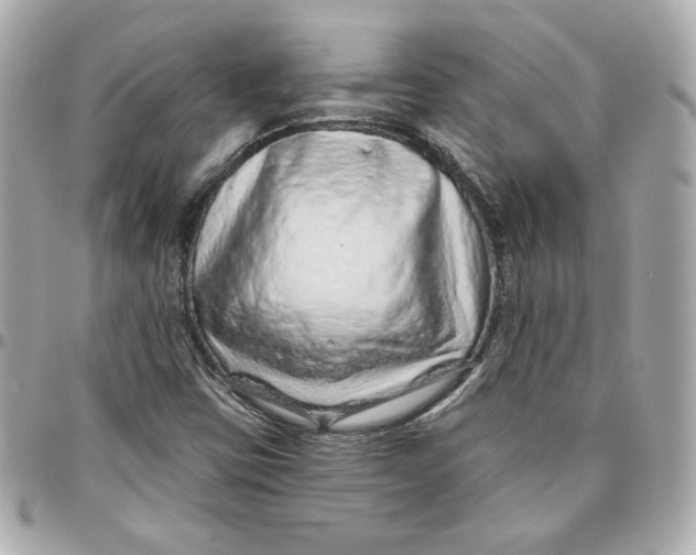 X0000095881403200802011033