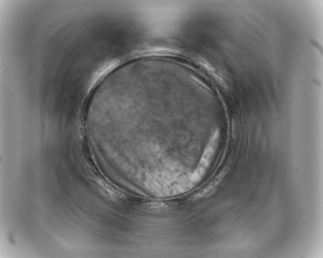 X0000095881405200802011033