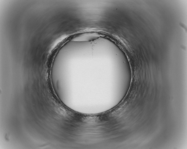 X0000095881406200802011033