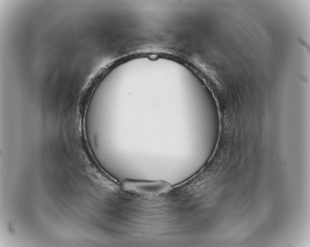 X0000095881408200802011034