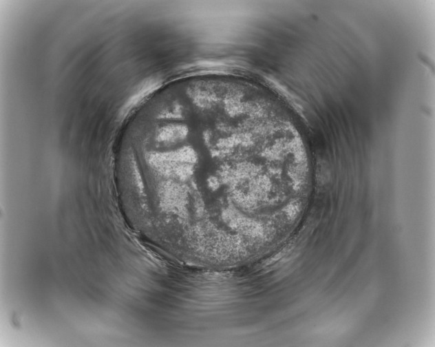 X0000095881411200802011034