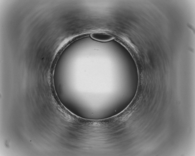 X0000095881412200802011034