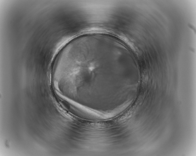 X0000095881413200802011034