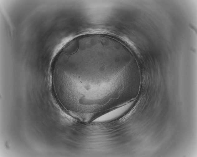 X0000095881414200802011034