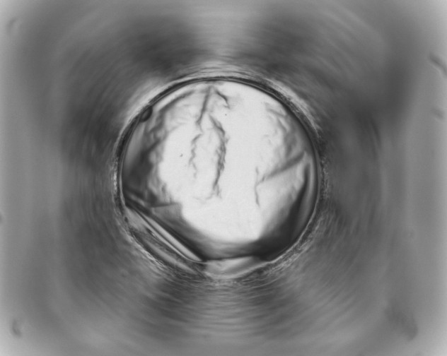 X0000095881415200802011034