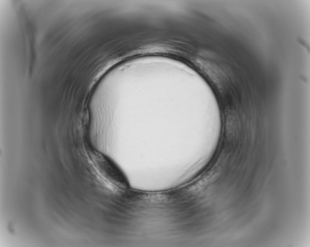 X0000095881417200802011034