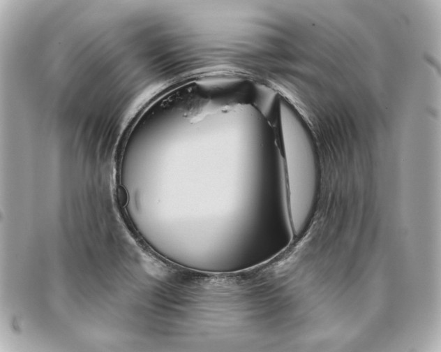 X0000095881418200802011034