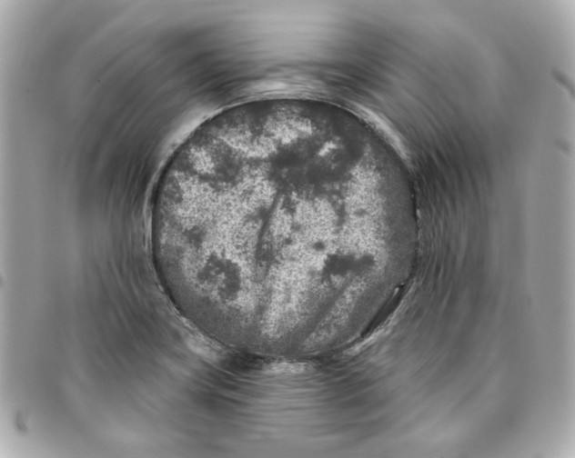 X0000095881419200802011034