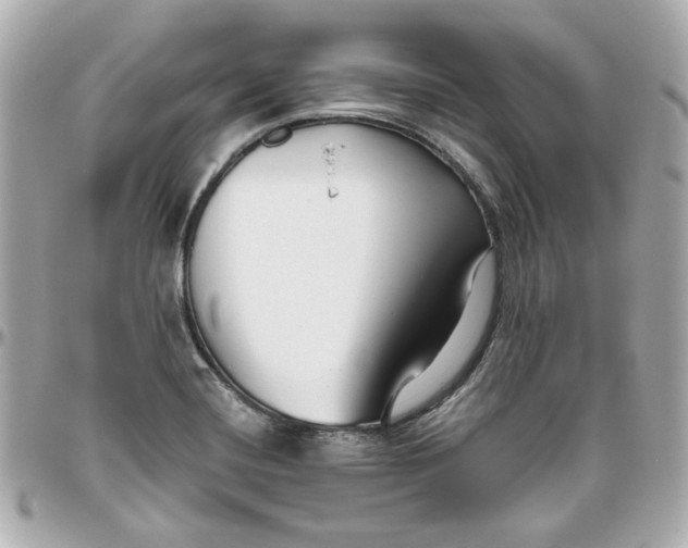 X0000095881420200802011034