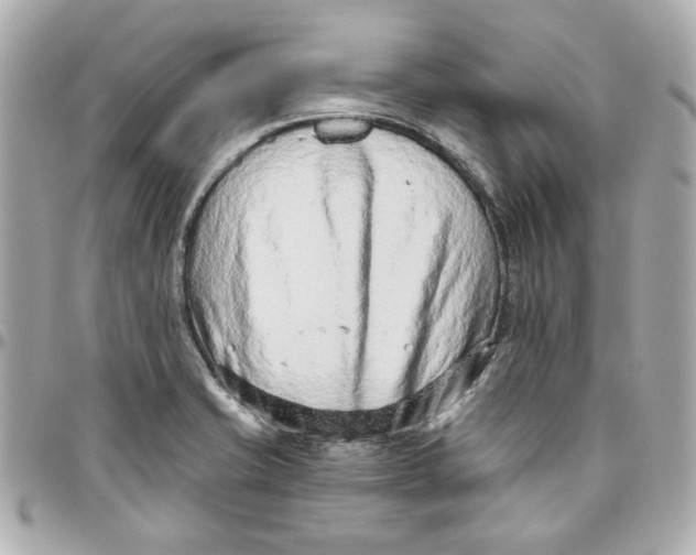 X0000095881421200802011034