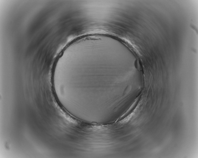 X0000095881422200802011034