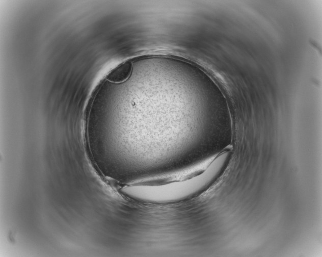 X0000095881424200802011034