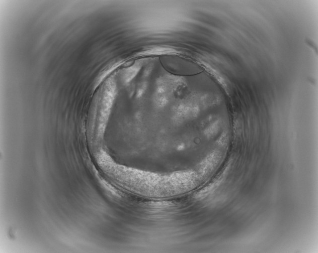 X0000095881425200802011034