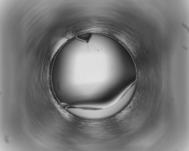 X0000095881426200802011034