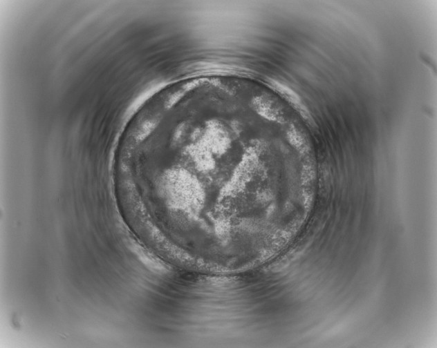 X0000095881427200802011034