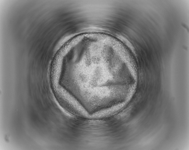 X0000095881429200802011034