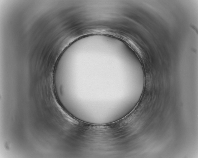 X0000095881432200802011034