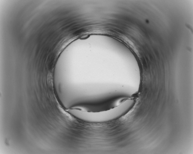 X0000095881433200802011034