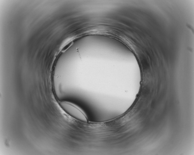 X0000095881434200802011034