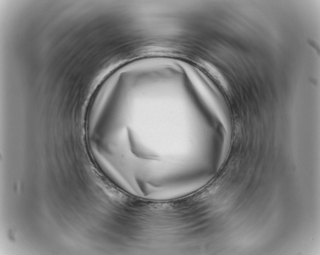 X0000095881435200802011034