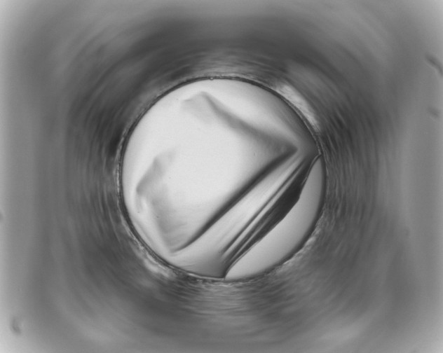 X0000095881436200802011034