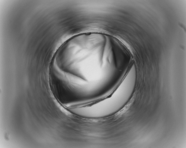 X0000095881438200802011034