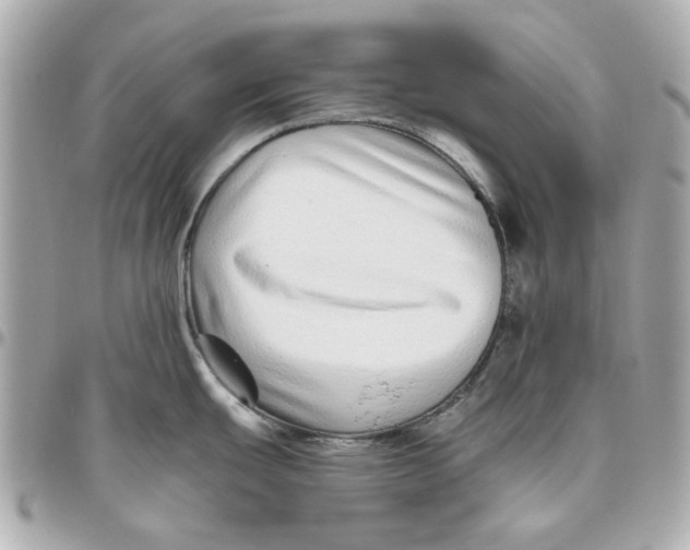 X0000095881439200802011034