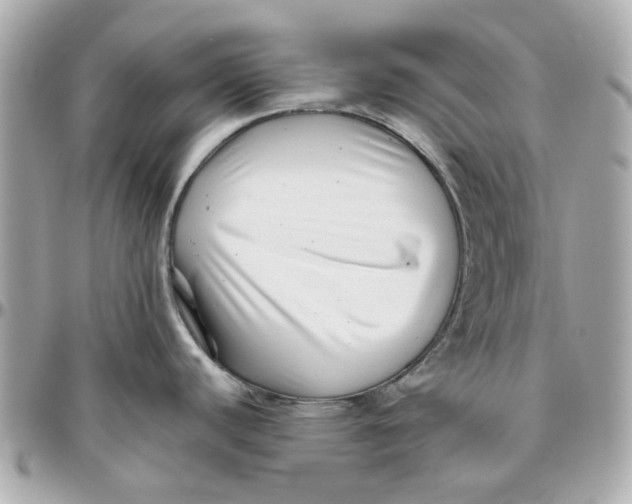 X0000095881440200802011034