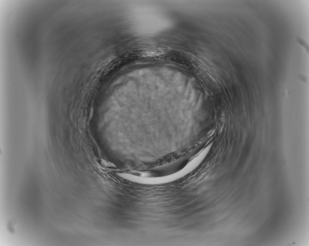 X0000095881441200802011033