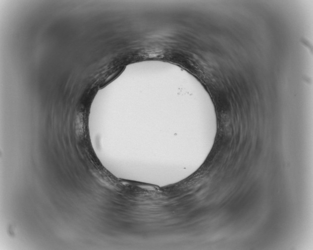 X0000095881442200802011033