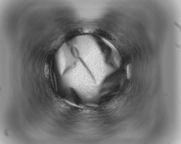 X0000095881443200802011033