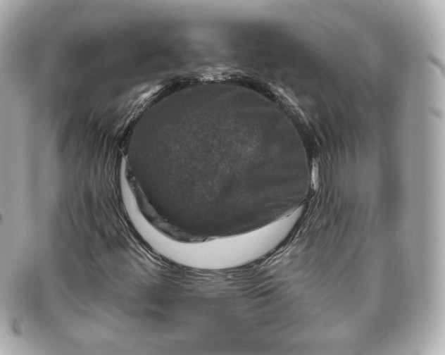 X0000095881444200802011033