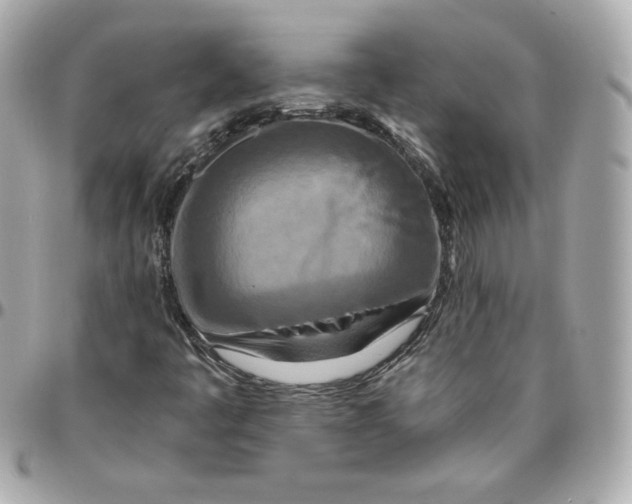 X0000095881445200802011033