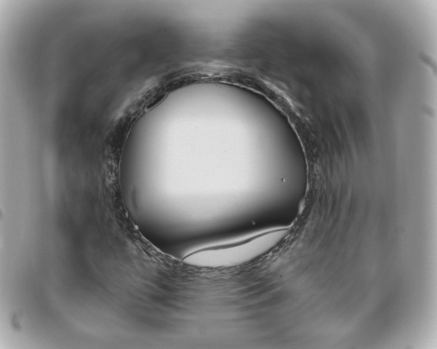 X0000095881447200802011033