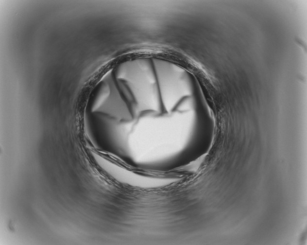 X0000095881448200802011033