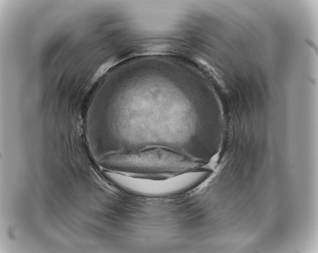 X0000095881449200802011033