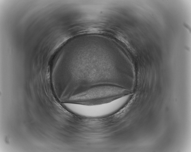 X0000095881450200802011033