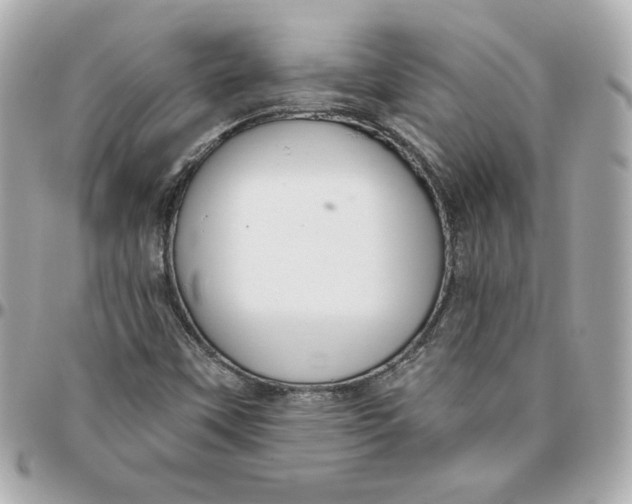 X0000095881451200802011033