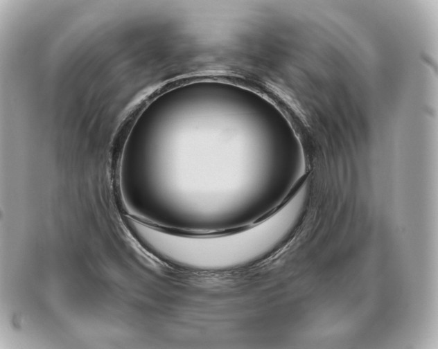 X0000095881452200802011033