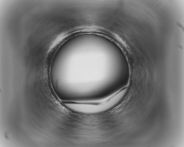 X0000095881456200802011033