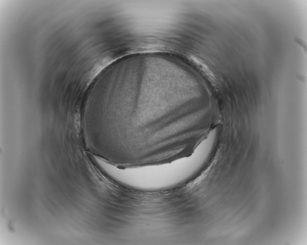 X0000095881457200802011033