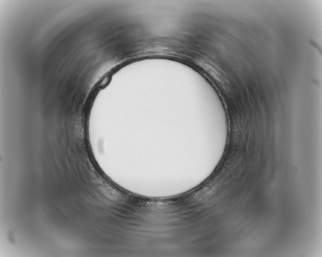 X0000095881458200802011033