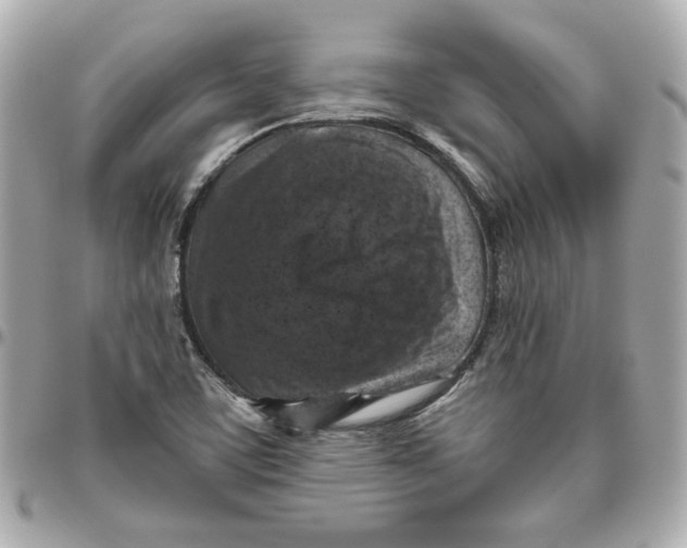 X0000095881459200802011033