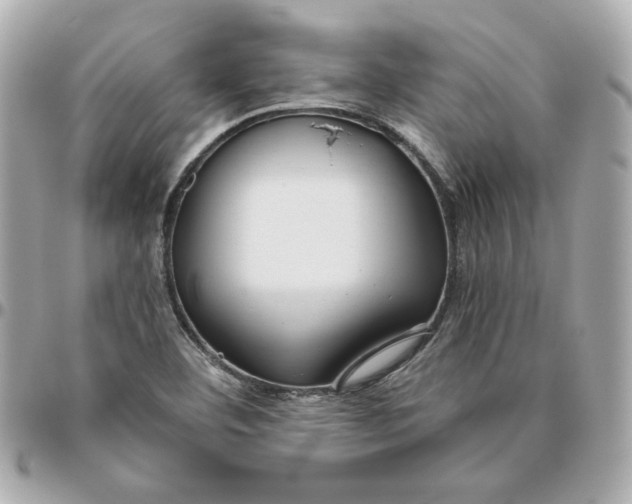 X0000095881460200802011033